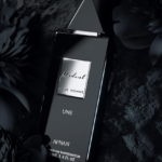 61GGT-Vm6WL._SL1500.png