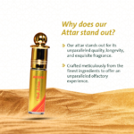 MUSKDIRHAM-01_1024x1024.png
